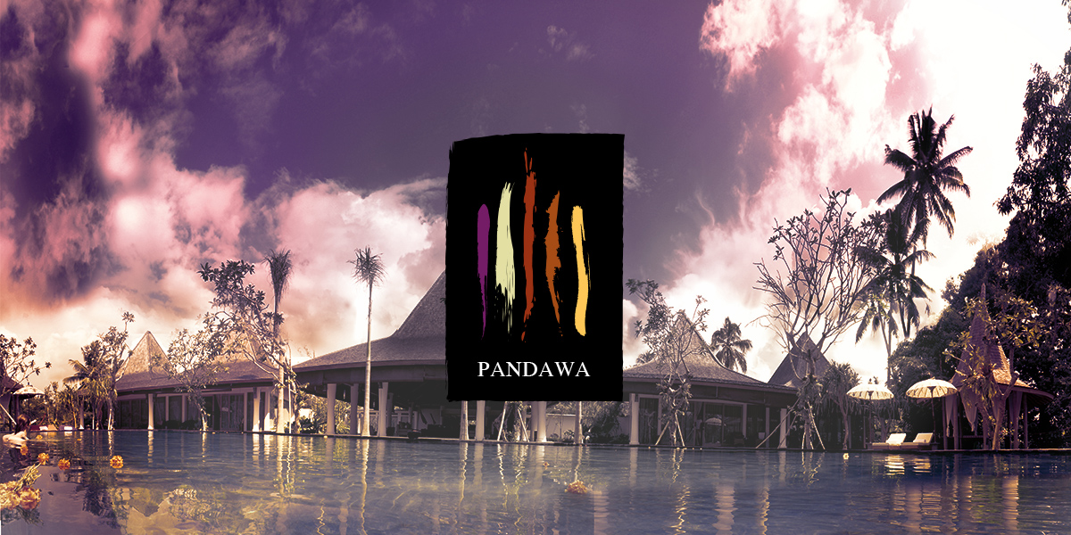logo design muenchen corporated design brand pandawa